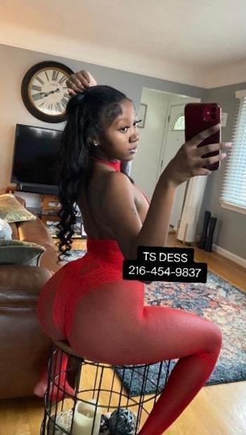 2164549837, transgender escort, Cleveland